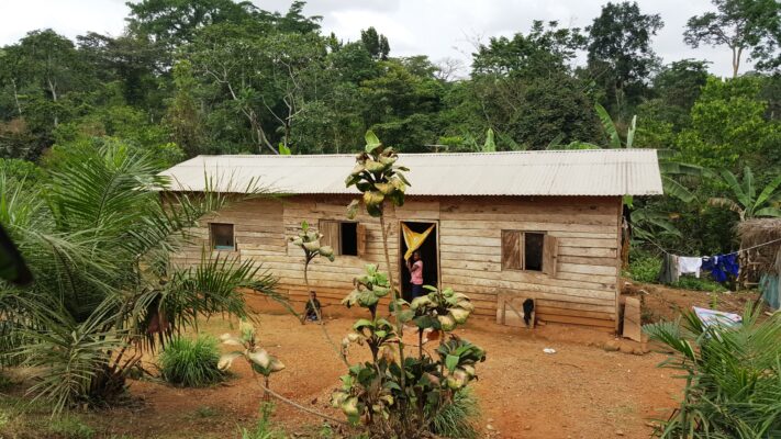 Traditional Energy Sources Use In Rural Cameroon