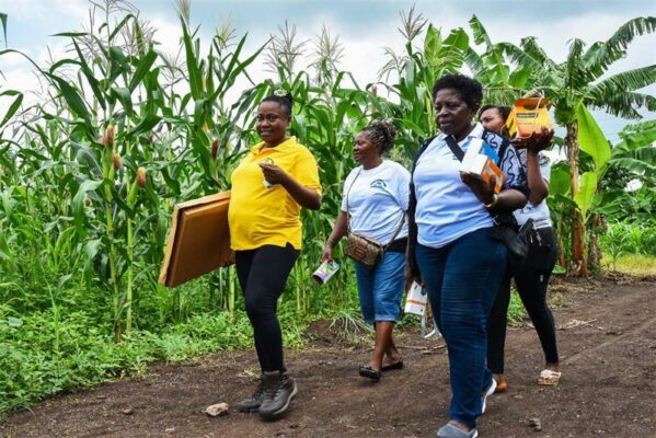 Advancing Inclusive Energy Access
